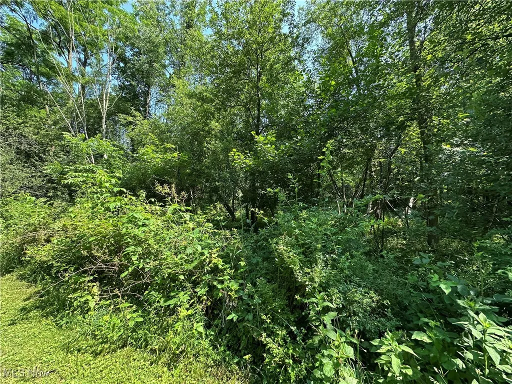 829 County Road 801, Ashland, Ohio,MLS Now Listing ID