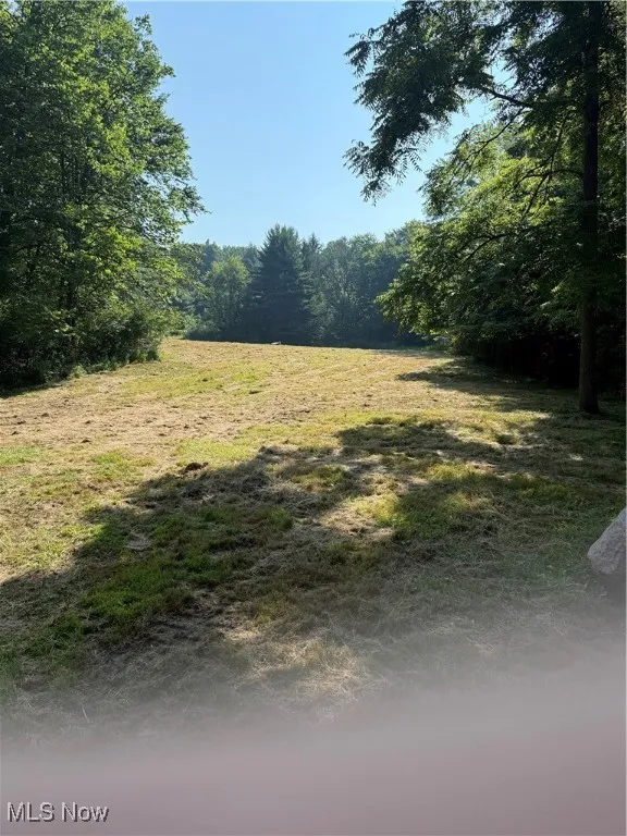 View of yard featuring a wooded view