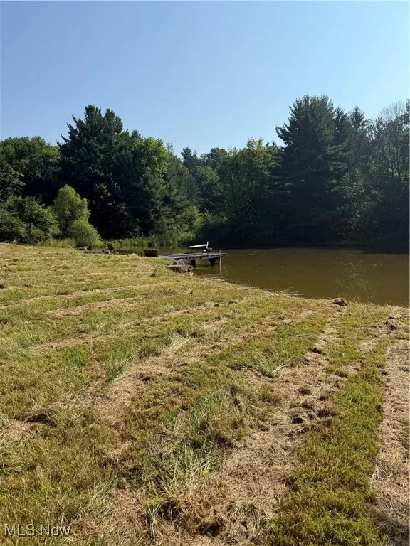 View of yard with a water view and a forest view