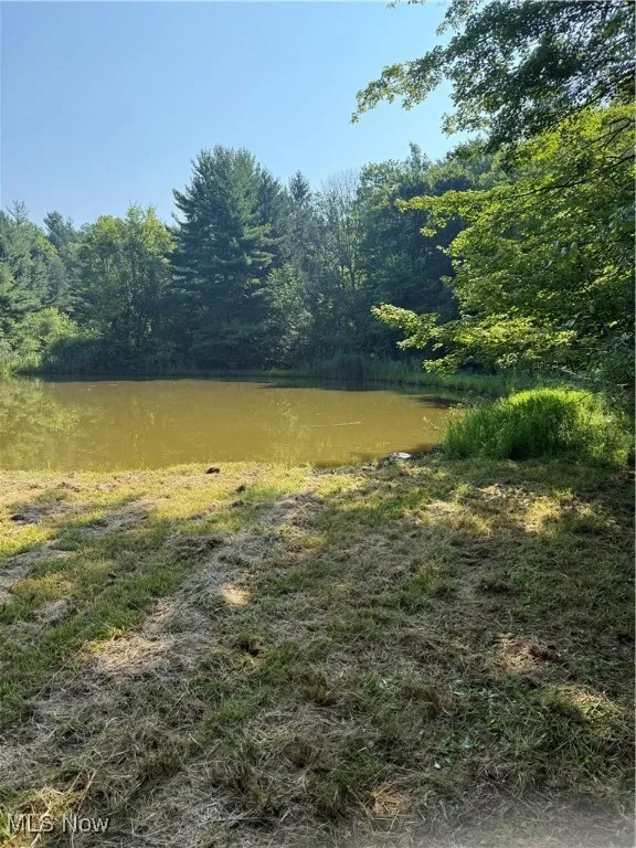 View of yard with a wooded view and a water view