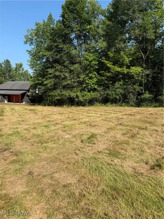 View of grassy yard