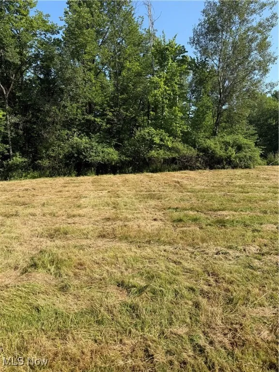View of undeveloped land