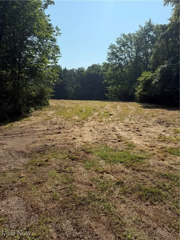 View of yard featuring a forest view