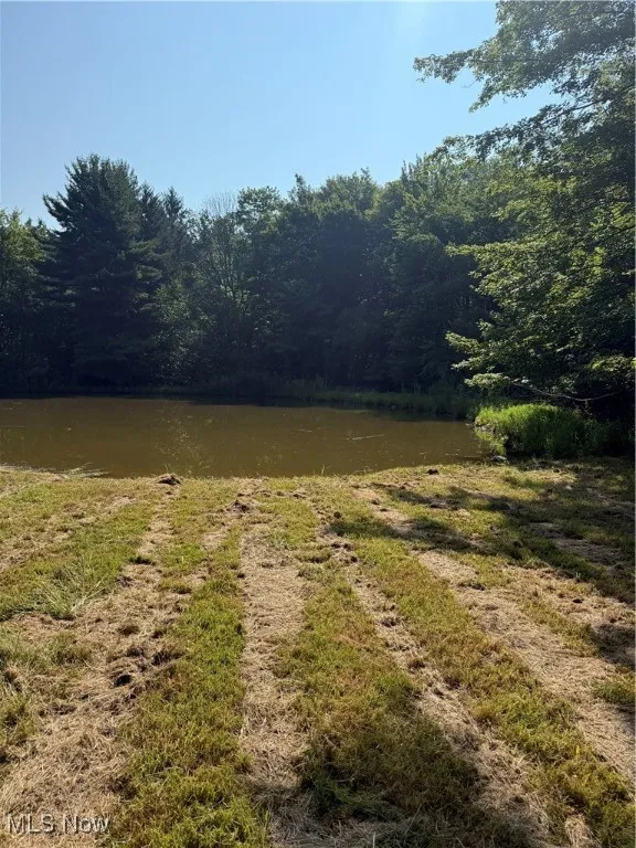 View of yard featuring a water view and a wooded view