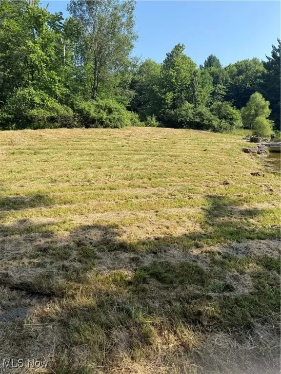 View of undeveloped land