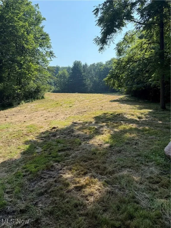 View of yard with a view of trees