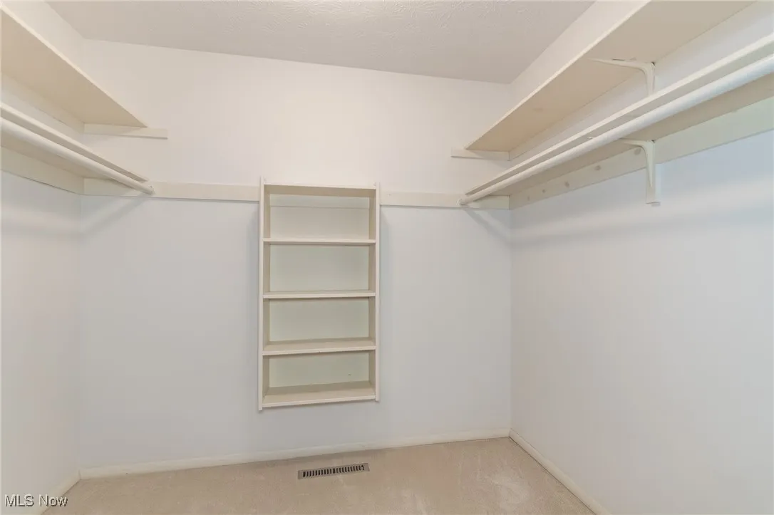 Spacious closet featuring carpet