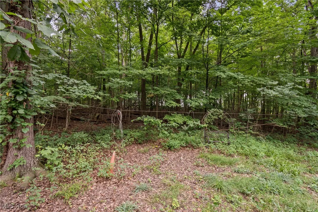 View of undeveloped land