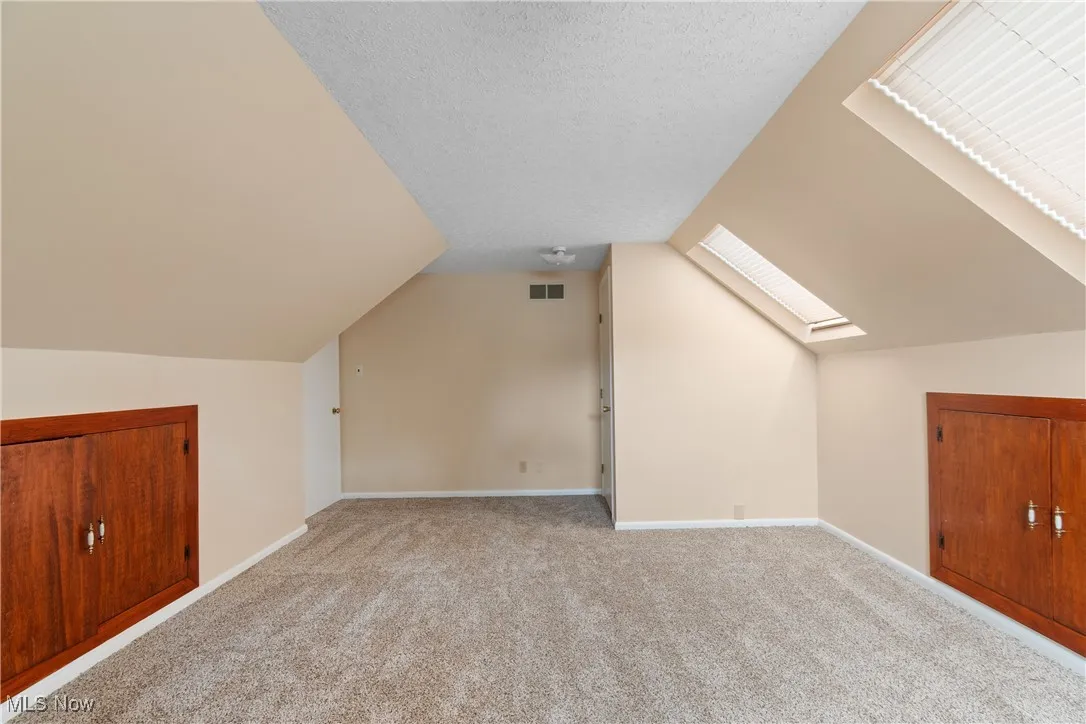 Bonus room with a skylight, vaulted ceiling, carpet flooring, and a textured ceiling