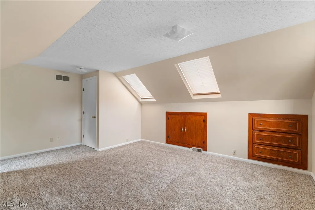 Bonus room featuring a skylight, carpet, a textured ceiling, and lofted ceiling