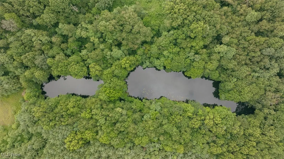 Aerial overview of property's location featuring a nearby body of water and a heavily wooded area