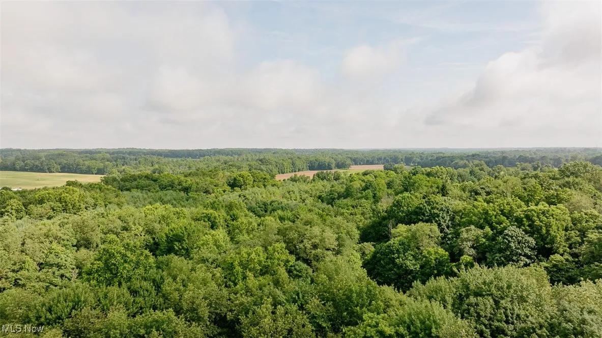 Drone / aerial view of a heavily wooded area
