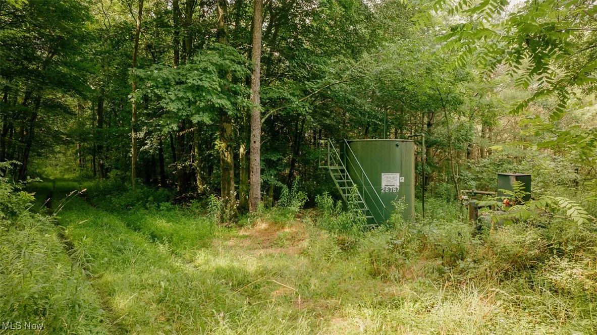 Exterior view of a pad mount transformer and a forest