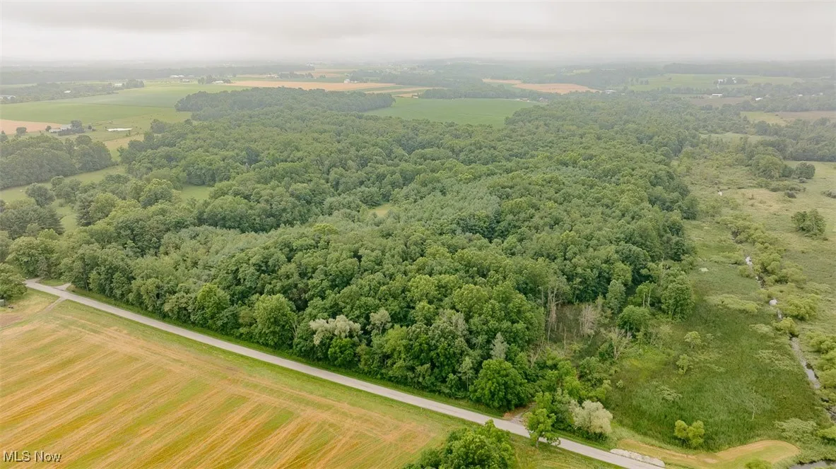 Aerial view of sparsely populated area with a forest