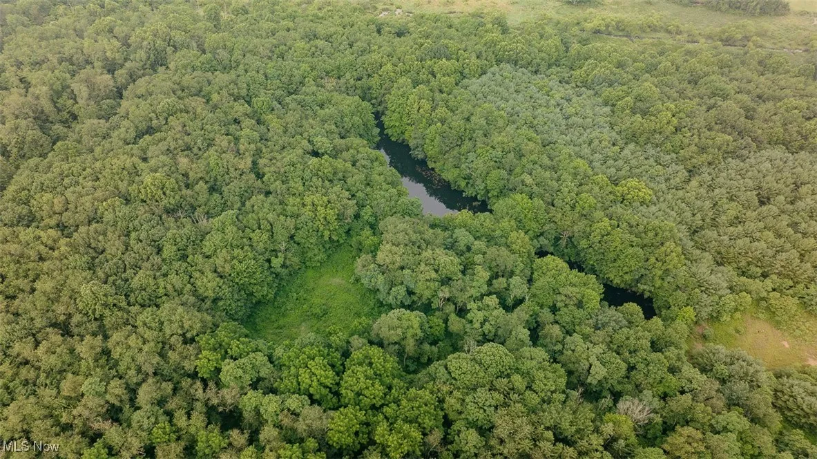 Aerial overview of property's location with a forest