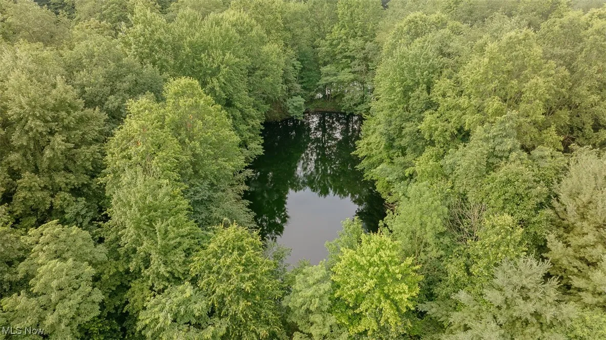 Drone / aerial view of a heavily wooded area
