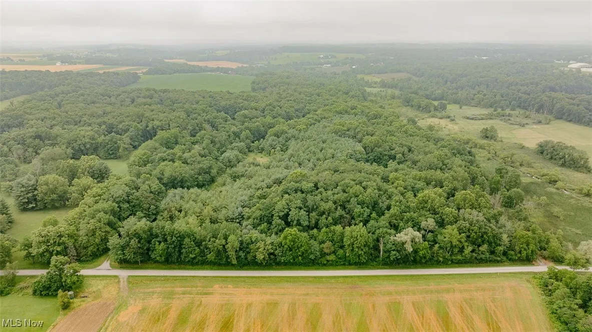 Aerial view of a forest