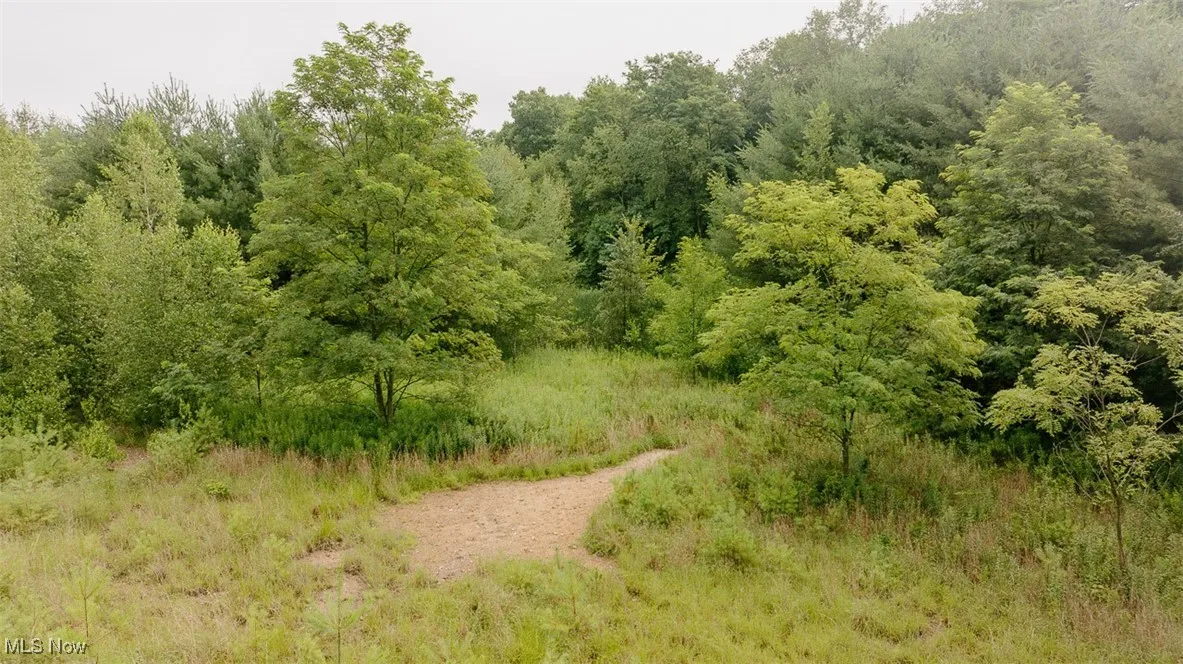 View of woods