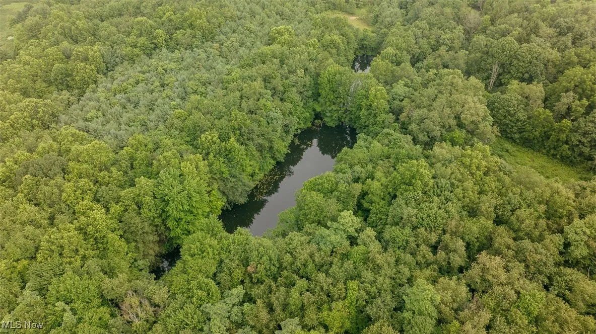 Aerial view of a forest and a nearby body of water