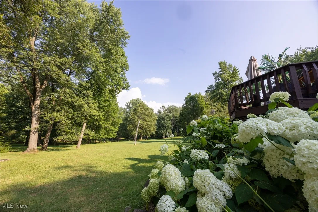 5241 Som Center Road, Solon, Ohio,MLS Now Listing ID