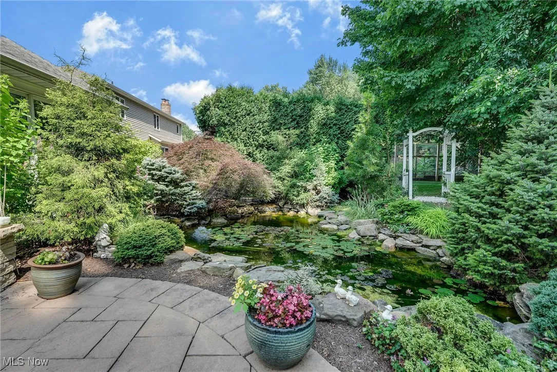 Koi pond