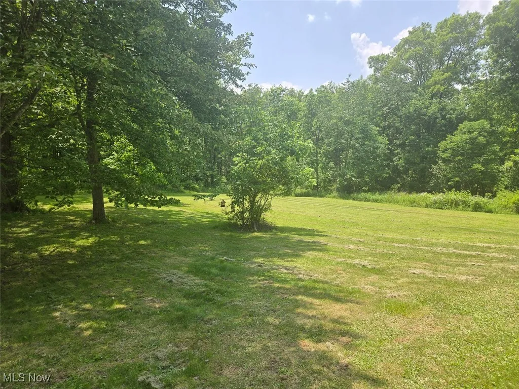 View of grassy yard with a wooded view