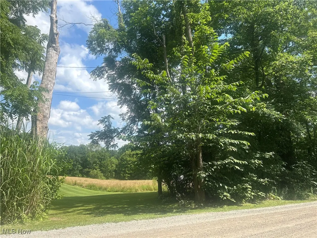 Owen Road, Middlefield, Ohio,MLS Now Listing ID