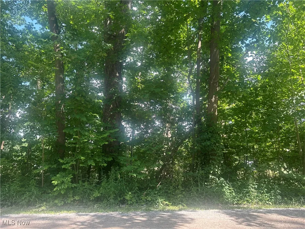 Owen Road, Middlefield, Ohio,MLS Now Listing ID