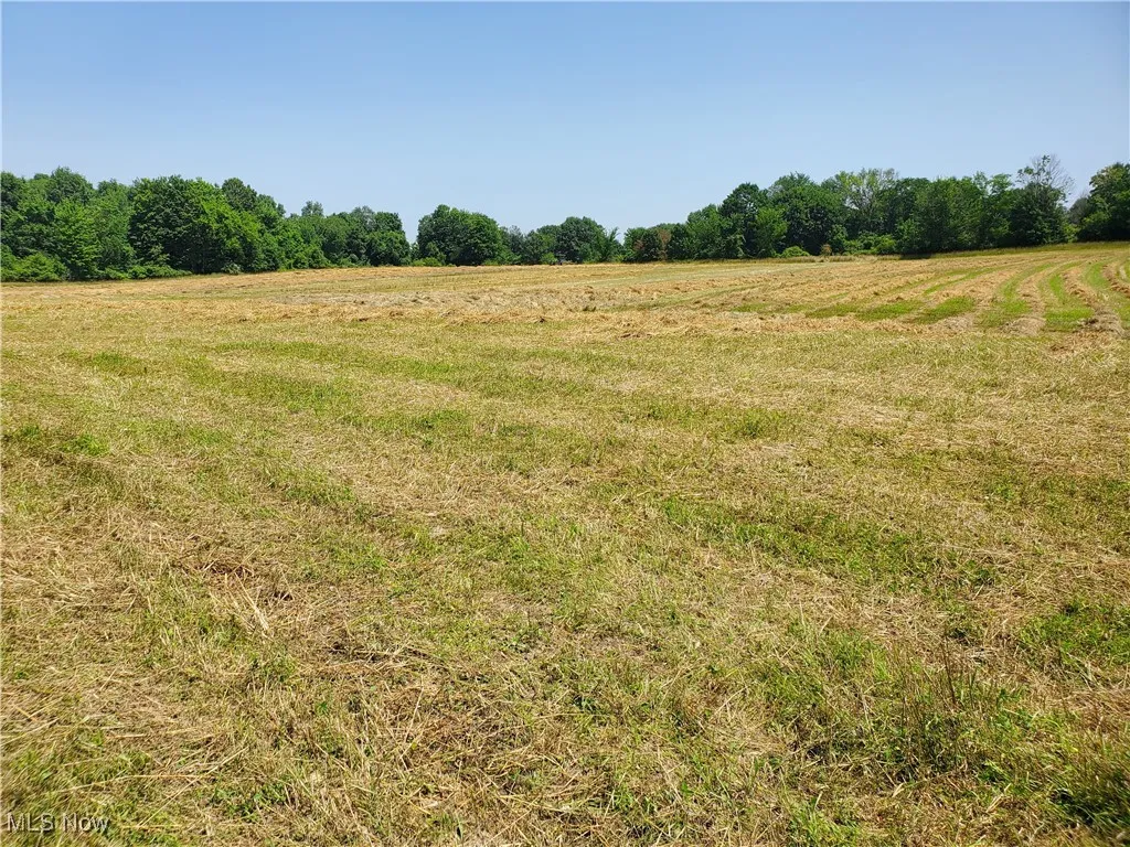 Field