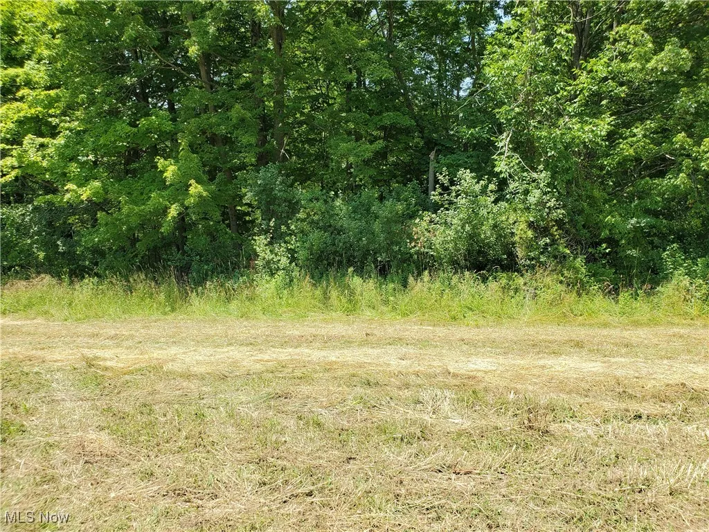 Woods