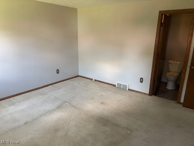 Bathroom with toilet and vanity and shower