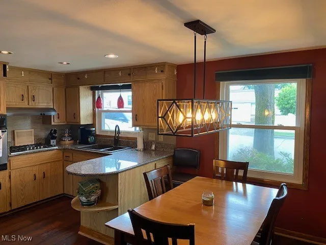 Kitchen featuring tasteful backsplash, a peninsula, dark wood-style floors, hanging light fixtures, and appliances with stainless steel finishes