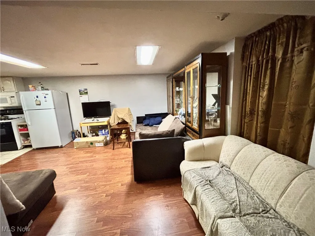 Lower level living room