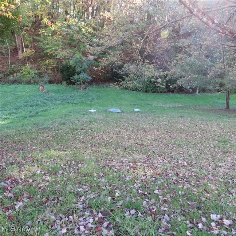 1219 Steubenville Road, Carrollton, Ohio,MLS Now Listing ID