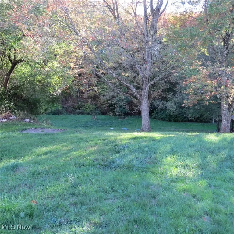1219 Steubenville Road, Carrollton, Ohio,MLS Now Listing ID