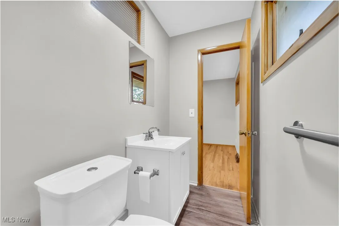 Bathroom featuring wood finished floors and vanity