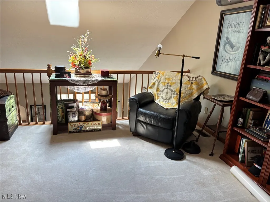 Living area with carpet floors