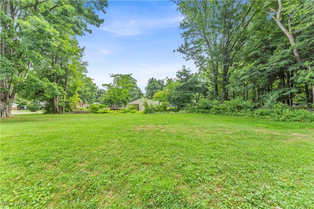 View of grassy yard