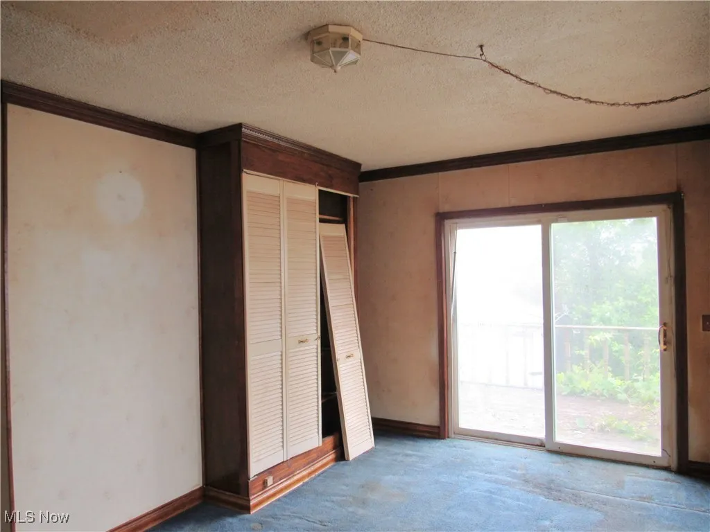 Unfurnished bedroom with ornamental molding, light colored carpet, access to outside, a textured ceiling, and a closet