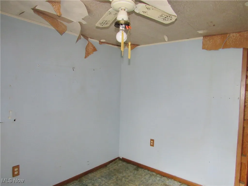 Spare room with ornamental molding and carpet flooring