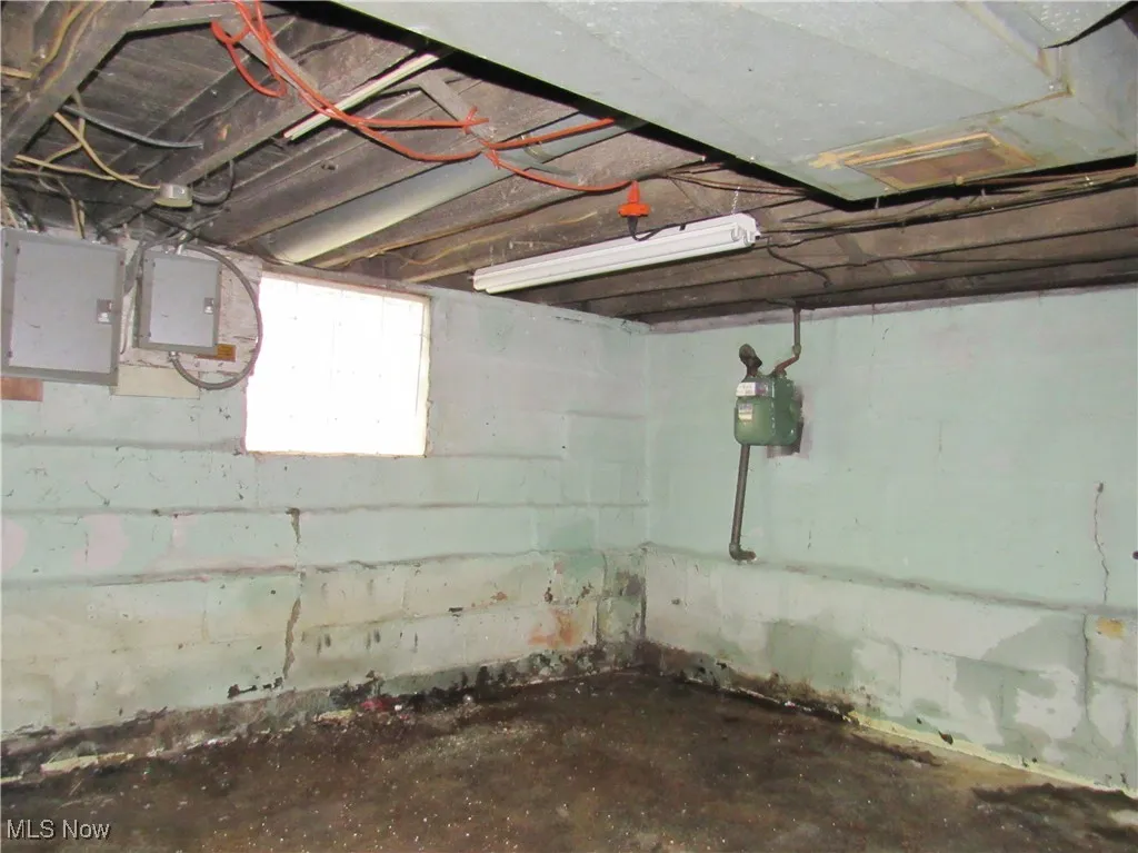 Basement with electric panel