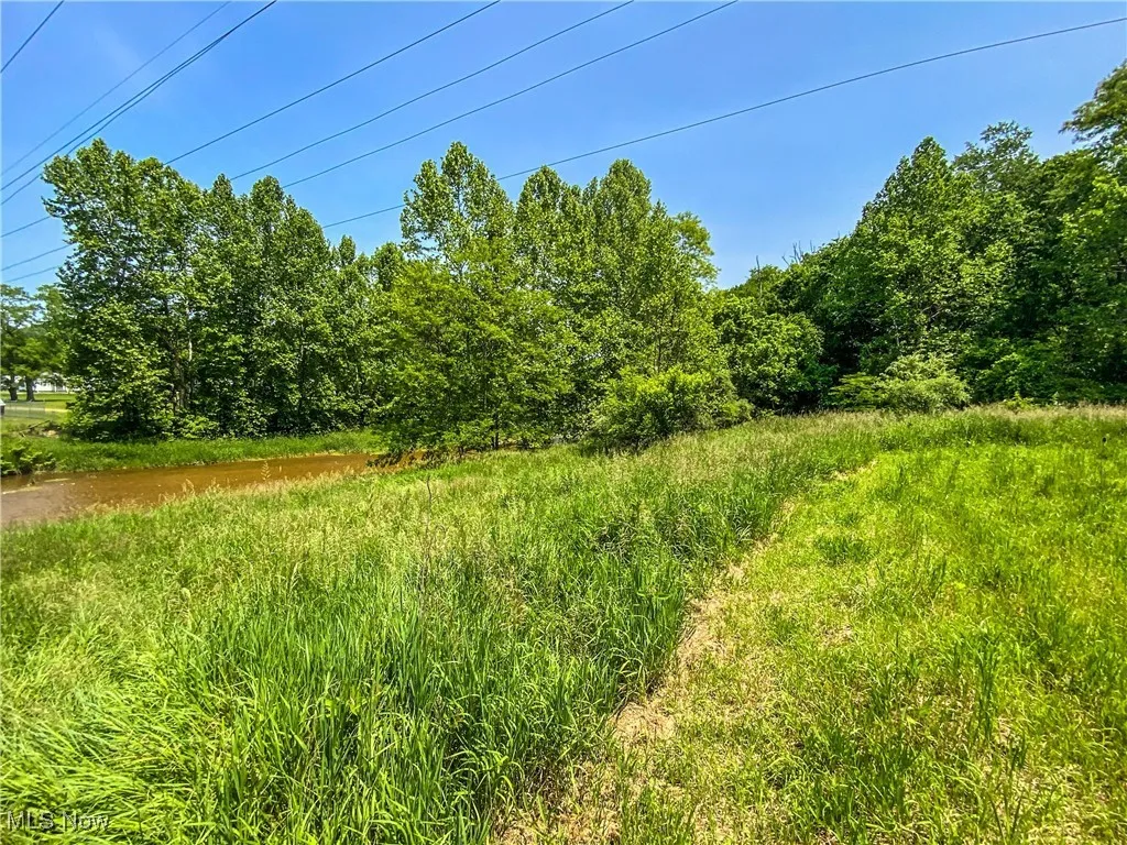 View of undeveloped land