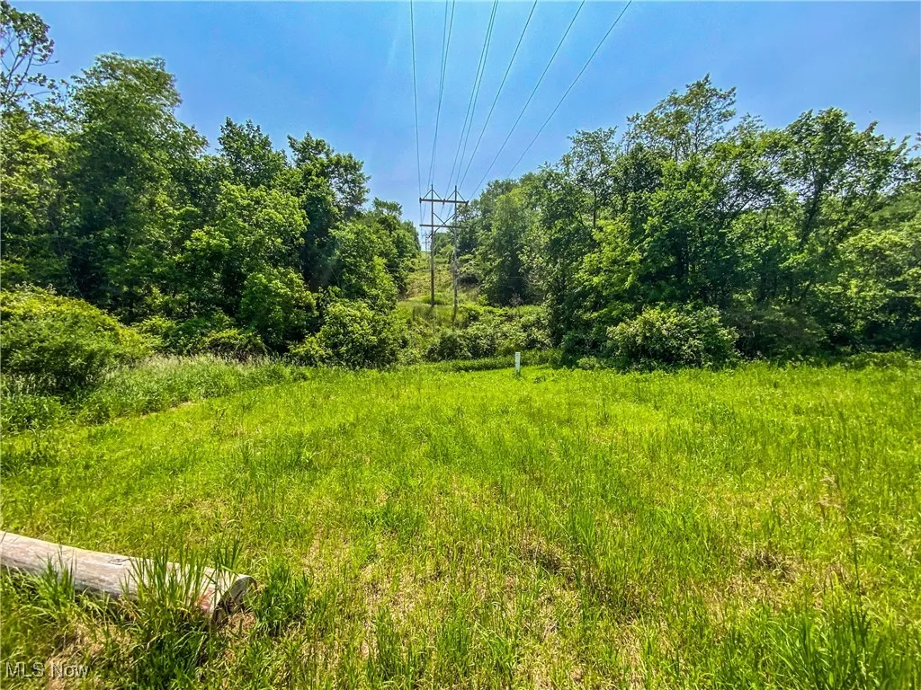View of local wilderness