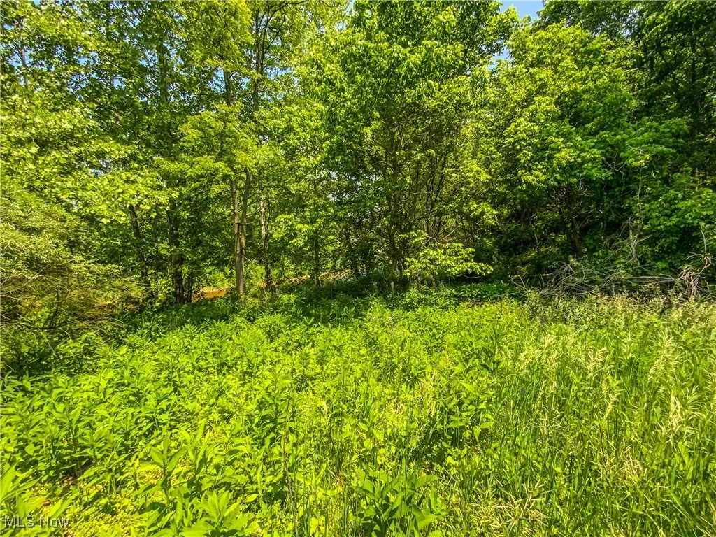 View of nature