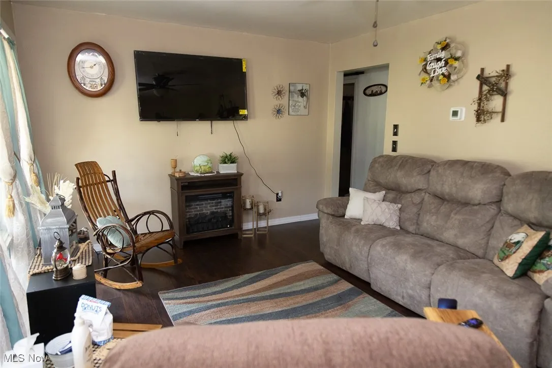 Living room featuring wood finished floors and a fireplace