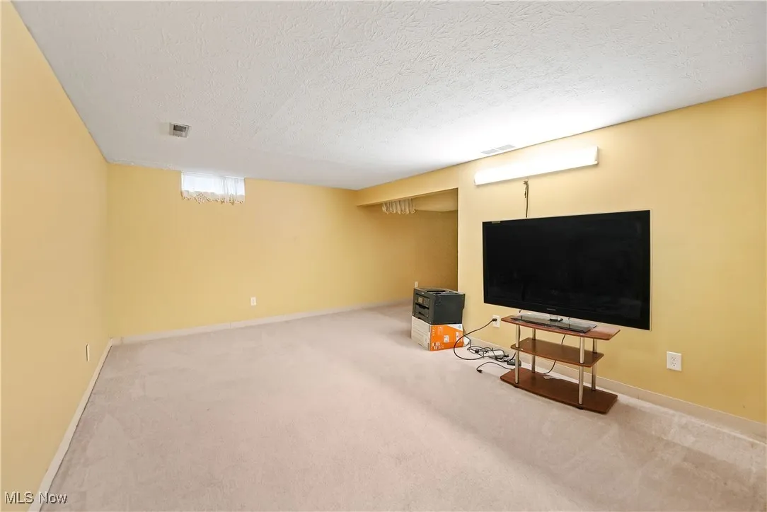 Below grade area featuring carpet flooring and a textured ceiling
