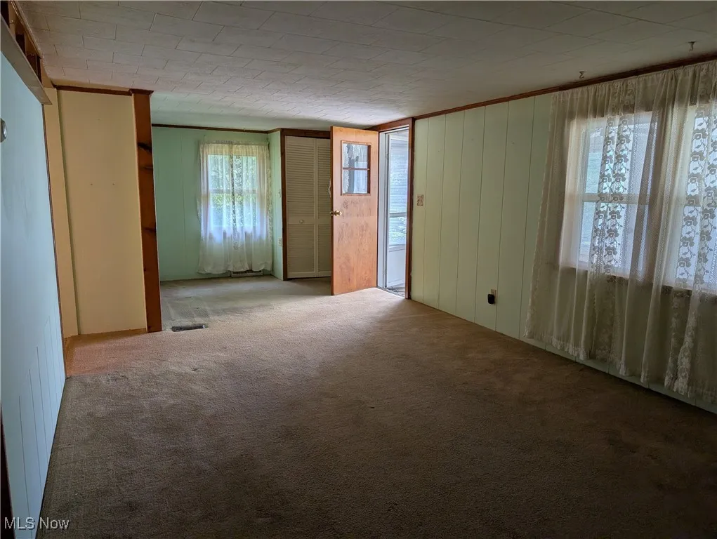 Carpeted spare room featuring plenty of natural light