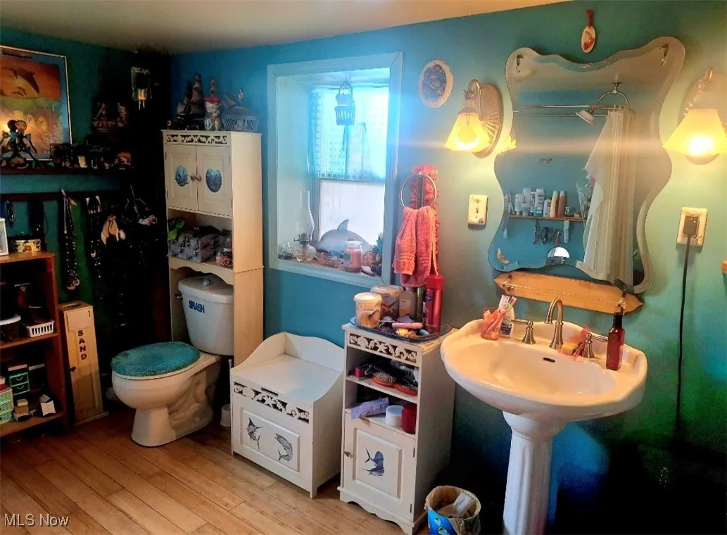 Bathroom with wood finished floors and toilet
