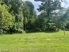 View of green lawn