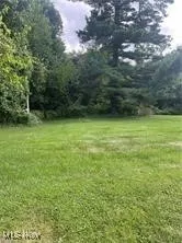 View of grassy yard